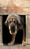 Filename=IMG0138.jpg
Filesize=83KiB
Dimensions=742x1200
Date added=%665 %25, %2013 IMG0138.jpg
