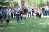 Filename=IMG-5285.jpg
Filesize=170KiB
Dimensions=1200x800
Date added=%949 %19, %2012 IMG-5285.jpg