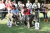 Filename=IMG-5297.jpg
Filesize=129KiB
Dimensions=1200x800
Date added=%949 %19, %2012 IMG-5297.jpg