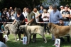 Filename=IMG-5316.jpg
Filesize=135KiB
Dimensions=1200x800
Date added=%949 %19, %2012 IMG-5316.jpg