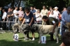 Filename=IMG-5318.jpg
Filesize=145KiB
Dimensions=1200x800
Date added=%949 %19, %2012 IMG-5318.jpg