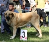 Filename=IMG-5319.jpg
Filesize=166KiB
Dimensions=1200x1024
Date added=%949 %19, %2012 IMG-5319.jpg