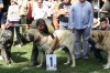 Filename=IMG-5320.jpg
Filesize=134KiB
Dimensions=1200x800
Date added=%949 %19, %2012 IMG-5320.jpg