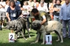 Filename=IMG-5321.jpg
Filesize=152KiB
Dimensions=1200x800
Date added=%949 %19, %2012 IMG-5321.jpg
