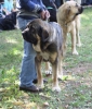 Filename=IMG-5323.jpg
Filesize=128KiB
Dimensions=1030x1200
Date added=%949 %19, %2012 IMG-5323.jpg