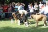 Filename=IMG-5333.jpg
Filesize=160KiB
Dimensions=1200x800
Date added=%949 %19, %2012 IMG-5333.jpg