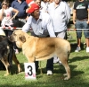 Filename=IMG-5334.jpg
Filesize=175KiB
Dimensions=1200x1166
Date added=%949 %19, %2012 IMG-5334.jpg
