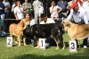 Filename=IMG-5335.jpg
Filesize=152KiB
Dimensions=1200x800
Date added=%949 %19, %2012 IMG-5335.jpg