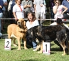 Filename=IMG-5336.jpg
Filesize=193KiB
Dimensions=1200x1076
Date added=%949 %19, %2012 IMG-5336.jpg