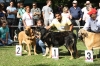 Filename=IMG-5337.jpg
Filesize=149KiB
Dimensions=1200x800
Date added=%949 %19, %2012 IMG-5337.jpg