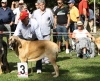 Filename=IMG-5338.jpg
Filesize=178KiB
Dimensions=1200x983
Date added=%949 %19, %2012 IMG-5338.jpg