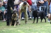 Filename=IMG-5342.jpg
Filesize=112KiB
Dimensions=1200x800
Date added=%949 %19, %2012 IMG-5342.jpg