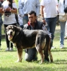 Filename=IMG-5343.jpg
Filesize=163KiB
Dimensions=1149x1200
Date added=%949 %19, %2012 IMG-5343.jpg