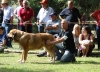 Filename=IMG-5348.jpg
Filesize=149KiB
Dimensions=1200x873
Date added=%949 %19, %2012 IMG-5348.jpg