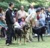 Filename=IMG-5349.jpg
Filesize=142KiB
Dimensions=1200x1146
Date added=%949 %19, %2012 IMG-5349.jpg
