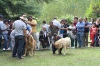 Filename=IMG-5352.jpg
Filesize=148KiB
Dimensions=1200x800
Date added=%949 %19, %2012 IMG-5352.jpg