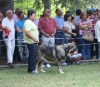 Filename=IMG-5354.jpg
Filesize=132KiB
Dimensions=1200x1044
Date added=%949 %19, %2012 IMG-5354.jpg