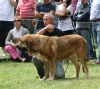 Filename=IMG-5356.jpg
Filesize=141KiB
Dimensions=1200x1069
Date added=%949 %19, %2012 IMG-5356.jpg