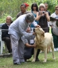 Filename=IMG-5357.jpg
Filesize=138KiB
Dimensions=1040x1200
Date added=%949 %19, %2012 IMG-5357.jpg