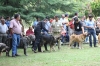Filename=IMG-5358.jpg
Filesize=161KiB
Dimensions=1200x800
Date added=%949 %19, %2012 IMG-5358.jpg