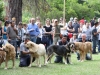Filename=IMG-5360.jpg
Filesize=148KiB
Dimensions=1200x905
Date added=%949 %19, %2012 IMG-5360.jpg