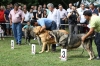 Filename=IMG-5362.jpg
Filesize=167KiB
Dimensions=1200x800
Date added=%949 %19, %2012 IMG-5362.jpg