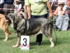 Filename=IMG-5363.jpg
Filesize=174KiB
Dimensions=1200x922
Date added=%949 %19, %2012 IMG-5363.jpg