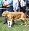 Filename=IMG-5364.jpg
Filesize=179KiB
Dimensions=1117x1200
Date added=%949 %19, %2012 IMG-5364.jpg