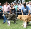 Filename=IMG-5365.jpg
Filesize=210KiB
Dimensions=1200x1118
Date added=%949 %19, %2012 IMG-5365.jpg