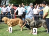 Filename=IMG-5366.jpg
Filesize=171KiB
Dimensions=1200x898
Date added=%949 %19, %2012 IMG-5366.jpg