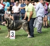 Filename=IMG-5367.jpg
Filesize=216KiB
Dimensions=1200x1098
Date added=%949 %19, %2012 IMG-5367.jpg