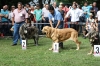Filename=IMG-5368.jpg
Filesize=180KiB
Dimensions=1200x800
Date added=%949 %19, %2012 IMG-5368.jpg