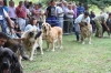 Filename=IMG-5373.jpg
Filesize=136KiB
Dimensions=1200x800
Date added=%949 %19, %2012 IMG-5373.jpg