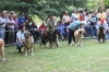 Filename=IMG-5374.jpg
Filesize=132KiB
Dimensions=1200x800
Date added=%949 %19, %2012 IMG-5374.jpg