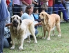 Filename=IMG-5376.jpg
Filesize=113KiB
Dimensions=1200x926
Date added=%949 %19, %2012 IMG-5376.jpg