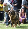Filename=IMG-5378.jpg
Filesize=126KiB
Dimensions=1177x1200
Date added=%949 %19, %2012 IMG-5378.jpg