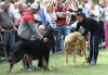 Filename=IMG-5379.jpg
Filesize=128KiB
Dimensions=1200x836
Date added=%949 %19, %2012 IMG-5379.jpg