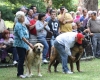 Filename=IMG-5381.jpg
Filesize=158KiB
Dimensions=1200x965
Date added=%949 %19, %2012 IMG-5381.jpg