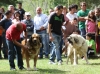 Filename=IMG-5382.jpg
Filesize=126KiB
Dimensions=1200x888
Date added=%949 %19, %2012 IMG-5382.jpg