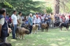 Filename=IMG-5387.jpg
Filesize=167KiB
Dimensions=1200x800
Date added=%949 %19, %2012 IMG-5387.jpg