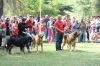 Filename=IMG-5388.jpg
Filesize=159KiB
Dimensions=1200x800
Date added=%949 %19, %2012 IMG-5388.jpg