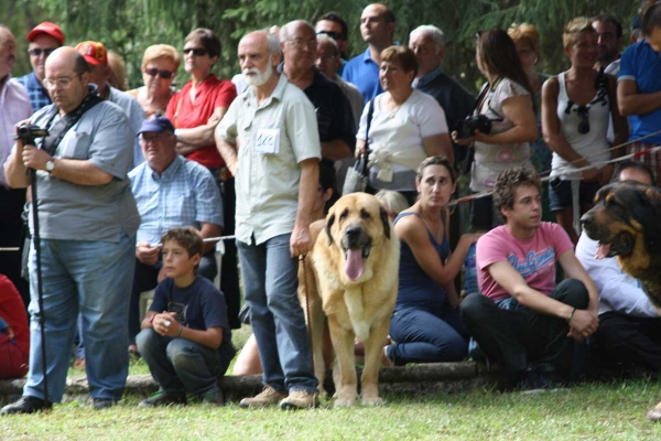 Barrios de Luna, 09.09.2012
الكلمات الإستدلالية(لتسهيل البحث): 2012