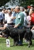 Filename=IMG-5430.jpg
Filesize=164KiB
Dimensions=836x1200
Date added=%951 %19, %2012 IMG-5430.jpg