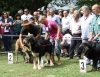 Filename=IMG-5431.jpg
Filesize=167KiB
Dimensions=1200x934
Date added=%951 %19, %2012 IMG-5431.jpg