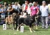 Filename=IMG-5433.jpg
Filesize=170KiB
Dimensions=1200x861
Date added=%951 %19, %2012 IMG-5433.jpg