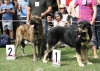 Filename=IMG-5434.jpg
Filesize=168KiB
Dimensions=1200x855
Date added=%951 %19, %2012 IMG-5434.jpg