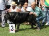 Filename=IMG-5435.jpg
Filesize=167KiB
Dimensions=1200x898
Date added=%951 %19, %2012 IMG-5435.jpg