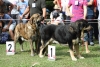 Filename=IMG-5436.jpg
Filesize=150KiB
Dimensions=1200x807
Date added=%951 %19, %2012 IMG-5436.jpg