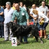 Filename=IMG-5437.jpg
Filesize=192KiB
Dimensions=1200x1200
Date added=%951 %19, %2012 IMG-5437.jpg