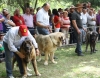 Filename=IMG-5439.jpg
Filesize=124KiB
Dimensions=1200x945
Date added=%951 %19, %2012 IMG-5439.jpg